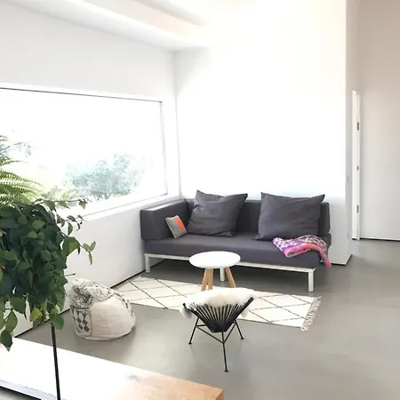 Modern Minimalist *